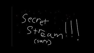 secret 3am stream omg