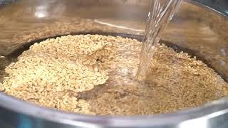 Demonstration Video on Processing of Wheat Milling - English