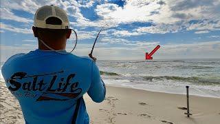 Eating Whatever we Catch from This Beach Pensacola FL