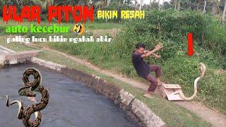 vidio lucu PRANK ULAR PITON paling meresahkan  paling lucu bikin ngakak funnuest snake prank