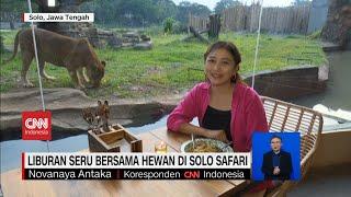 Berlibur Bersama Keluarga ke Solo Safari