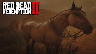 РЕДКАЯ лошадь из Нью Остина в Red Dead Redemption 2  Мустанг Тигровая Гнедая