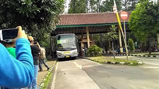 99% Telolet Melodi Bus mirip ZENTRUM TZ 60 Gemes Drag Race ALA Bus Zentrum mk TZ 79