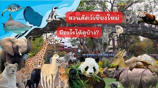 สวนสัตว์เชียงใหม่ มีอะไรให้ดูบ้าง?  Chiang Mai Zoo and Aquarium ที่เที่ยวเชียงใหม่