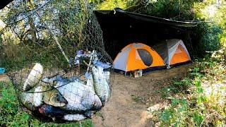 Acampamento com frango caipira Melhor Pescaria Raiz no barranco do Rio