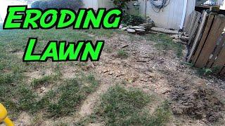 Repairing an UGLY Lawn  Small Lawn Renovation  Battling Soil Erosion