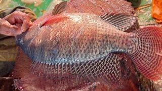 Popular Big Tilapia Fish Cutting Live In Fish Market Bangladesh  Fish Cutting Skills