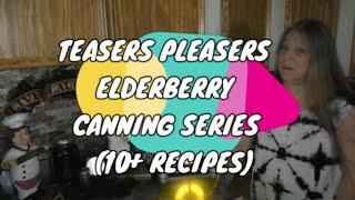 TEASERS PLEASERS ELDERBERRY CANNING SERIES . . . 10 PLUS RECIPES