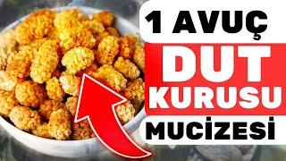 1 Avuç Kuru Dut Vücudunuza Bunları Yapıyor  Kuru Dutun Faydaları  Nelerdir?