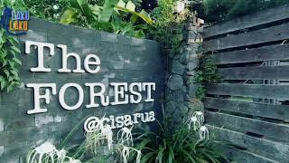 THE FOREST CISARUA PUNCAK REVIEW LOKASI CAMPING  WISATA BOGOR JAWA BARAT