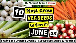 What Veg to Sow in June  Easy to Grow Veg for a Super SummerAutumnWinter Harvest #112