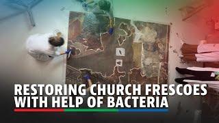 How bacteria is used to restore church frescoes in Spain  ABS-CBN News