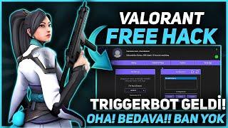 Valorant Cheat 2024  + Free Download Aimbot Wallhack ESP  Safe + Undetected 