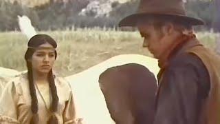 Deadwood 76 Western 1965 Arch Hall Jr Jack Lester  Full Movie & subtitles