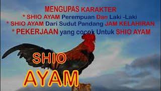 Membuka Tabir SHIO AYAM Lengkap