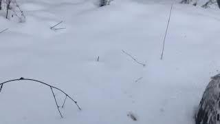 Едет ли Cooper STT pro в снегу?