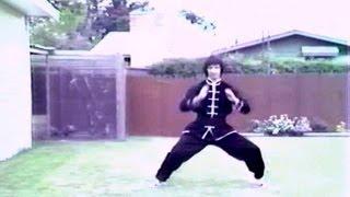 Black Leopard Kung Fu 少林豹形拳