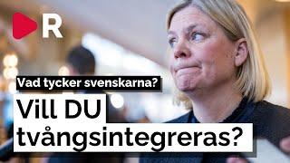 Vill du tvångsintegreras? Riks frågar på stan om S-förslaget