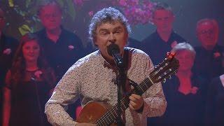 John Spillane - Cherry Trees  The Late Late Show  RTÉ One