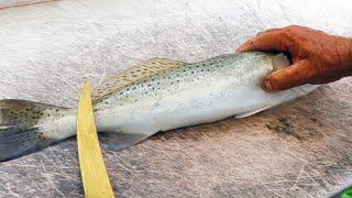 How To Fillet A Speckled Trout And Remove The Skin & Bones