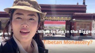 What to See in the Biggest Tibetan Monastery - Drepung  Monastery？