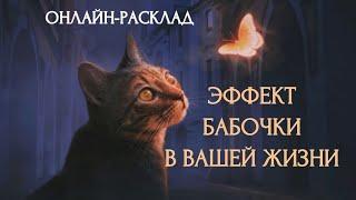 ЭФФЕКТ БАБОЧКИ В ВАШЕЙ ЖИЗНИ ГДЕ БЫЛ ПОВОРОТ? l ОНЛАЙН-РАСКЛАД