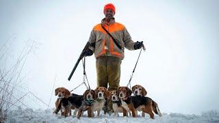 The Lost Art of Rabbit Hunting   Winchester Ammunition Short Film