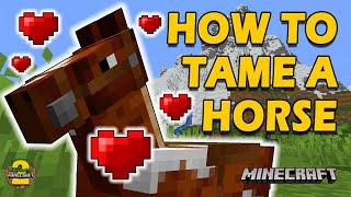 How To Tame A Horse In Minecraft  All Versions