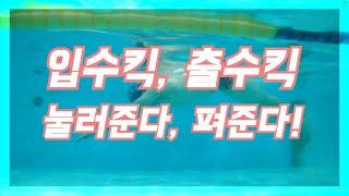 접영 발차기입수킥 출수킥 눌러주고 펴주면 끝초급중급상급 모두 도움이 됩니다