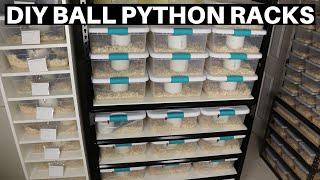 Advice And Tips For DIY Ball Python Racks - Benjamins Exotics