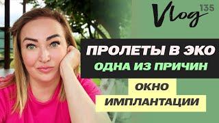 ЭКО. Как не пролететь с окном имплантации?  Заведомо пролетные протоколы ЭКО