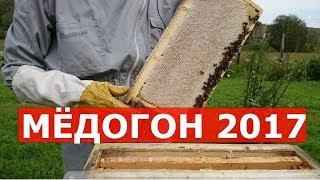 откачка золотого меда 2017 как качать мед с электроприводом