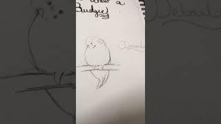 How to draw budgieee #howtodrawstepbystep #cute #budgie