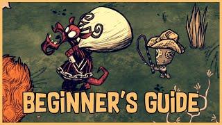 Don’t Starve Together Beginner’s Guide Automation & Creature Farming
