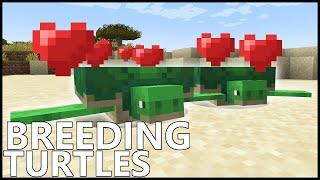 How To BREED TURTLES In MINECRAFT