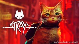 Stray - Full Game Walkthrough 100%  Longplay 2K 60FPS