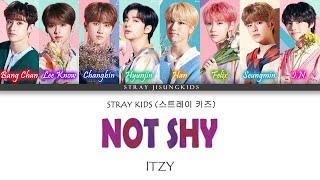 How Would STRAY KIDS Sing ITZY NOT SHY Male Version