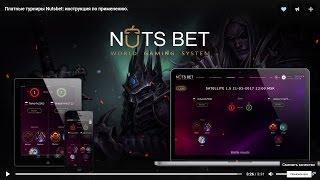 Платные турниры Nutsbet по Hearthstone инструкция