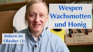 Wespenbefall und andere Heimsuchungen - Imkern im Oktober 3