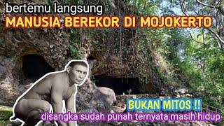 VIRAL  MANUSIA BEREKOR DI MOJOKERTO  Tinggal di goa angaswesi dalam hutan