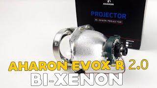 Aharon EvoX-R 2.0 bi-xenon projector Hella upgrade - Bulb mounting ring