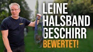 Das sind die BESTEN Halsbänder Leinen und co.  Hundetrainer erklärt -   TGH 436