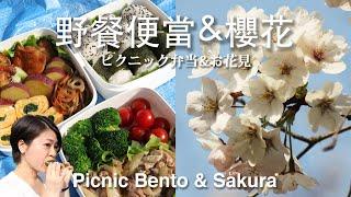 野餐便當  お花見弁当  Picnic Bento