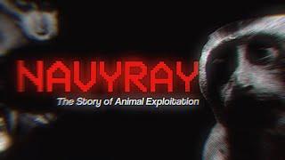 NavyRay The Story of Animal Exploitation