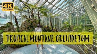 Tropical Montane Orchidetum @National Orchid Garden  Singapore Botanic Gardens 2021