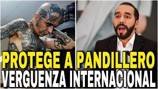 VERGÜENZA INTERNACIONAL La Protección de PANDILLEROS  en TERRITORIO ESPAÑOL Nayib Bukele EL SALVADOR