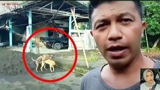 video lucu bikin ngakak sakit perut terbaru 2022 wik wik jepang #part3 #subscribeYah