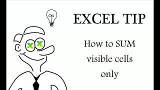 Excel -  How to SUM visible cells only