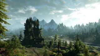 The Witcher 3 Wild Hunt - The Fields of Ard Skellig 1 Hour Version