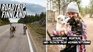 Roadtrip Finnland  Ein Camping Traum  Unser Besuch auf einer Huskyfarm und beim Weihnachtsmann